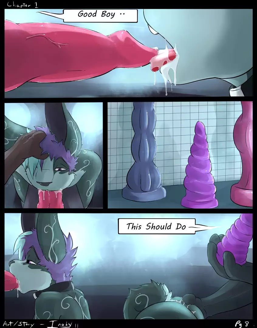 Bound 8
