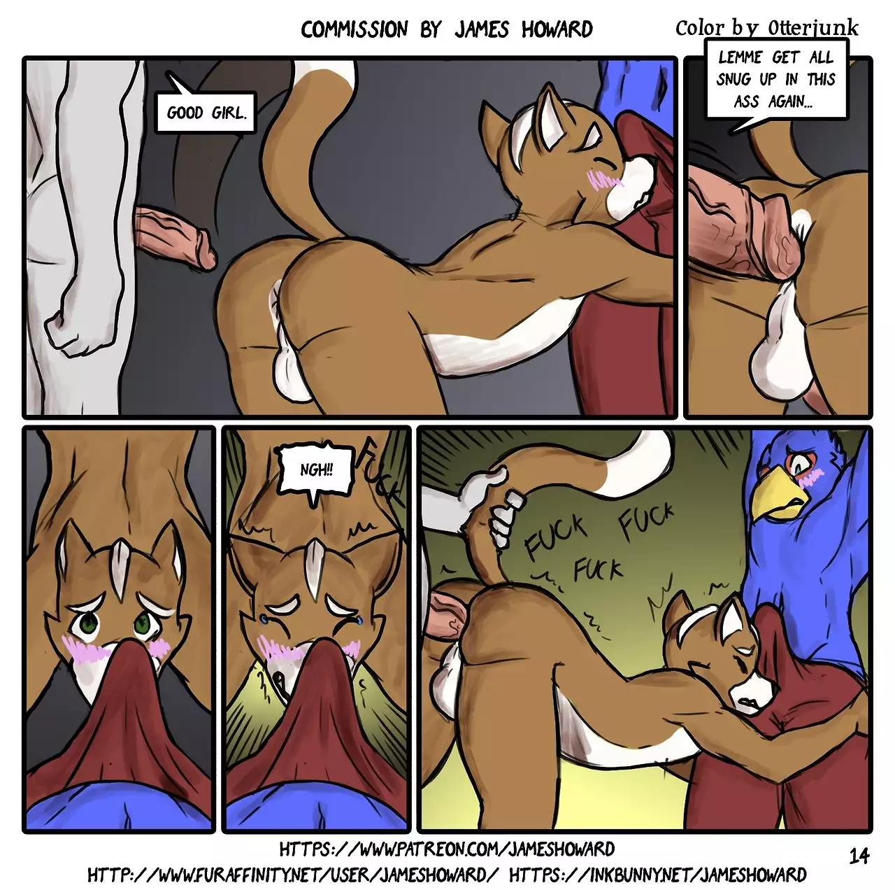 Fox, Falcon and Rabbit 14