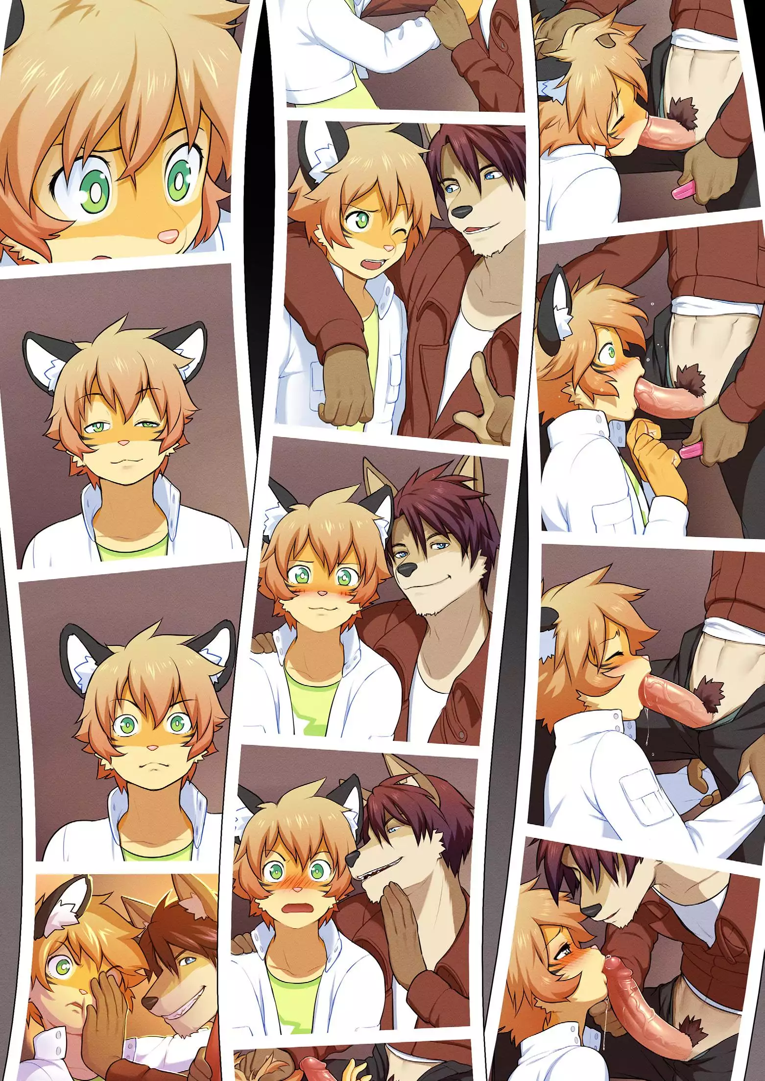 Masodonia 14