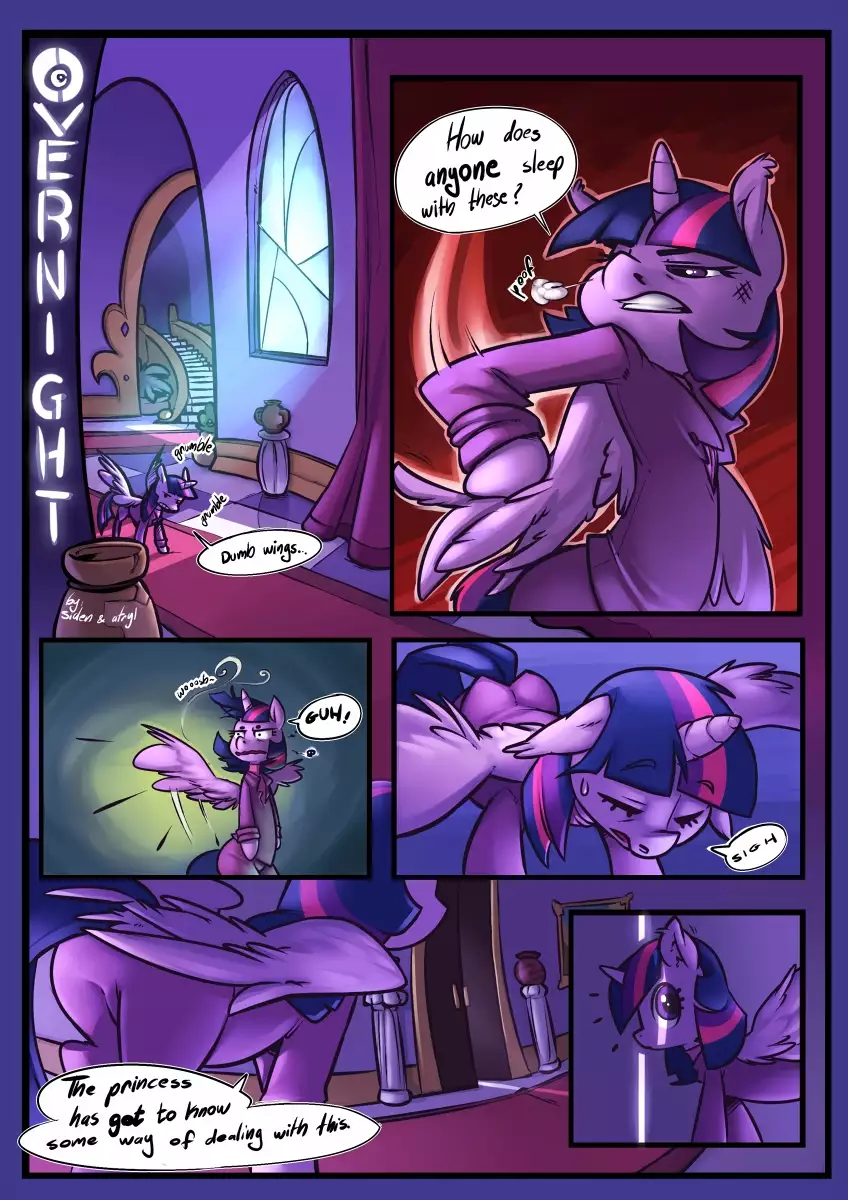 Overnight 1
