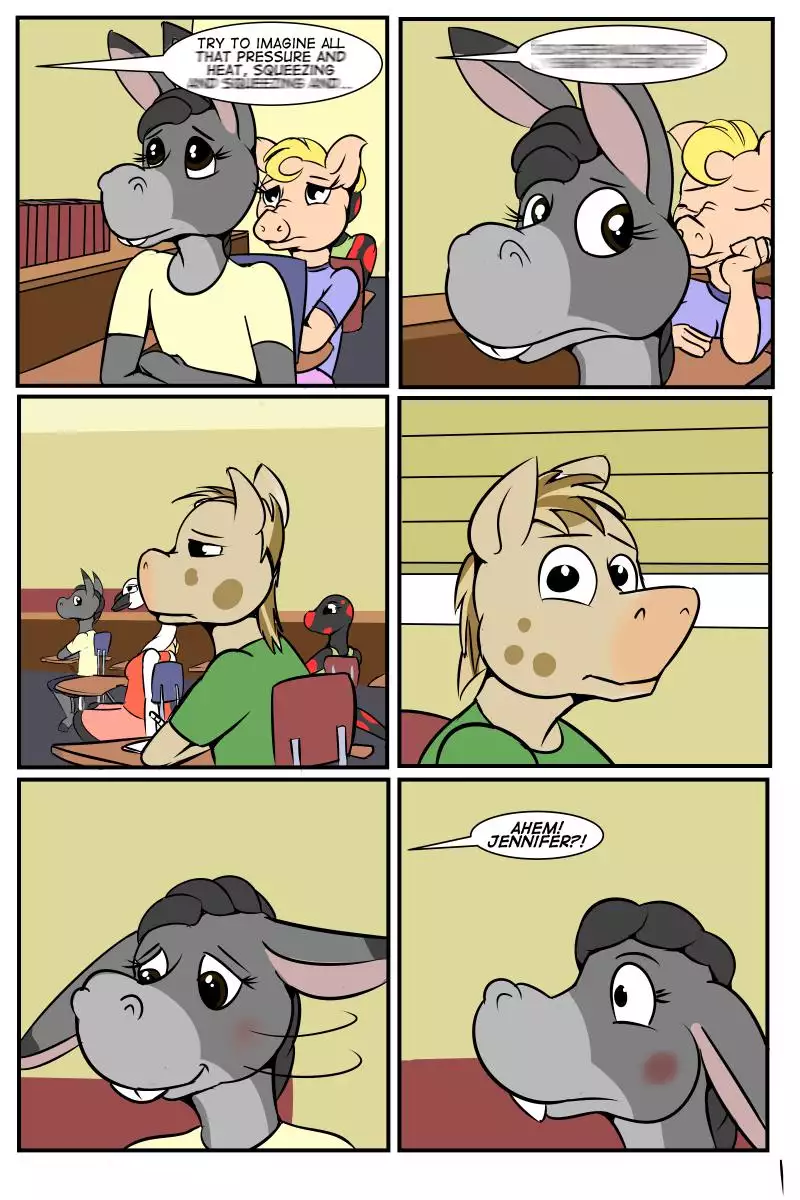 Study Partners - Chapter 1 2