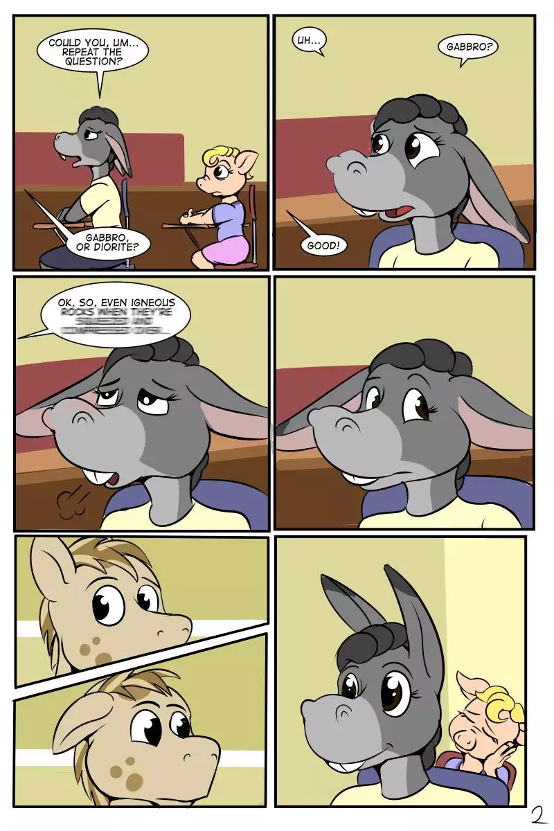 Study Partners - Chapter 1 3