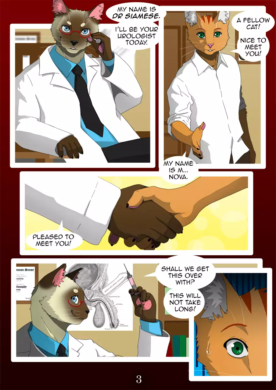 The Copluatory Tie 42