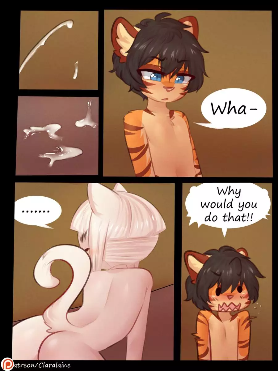 The Ghost in My Attic 24