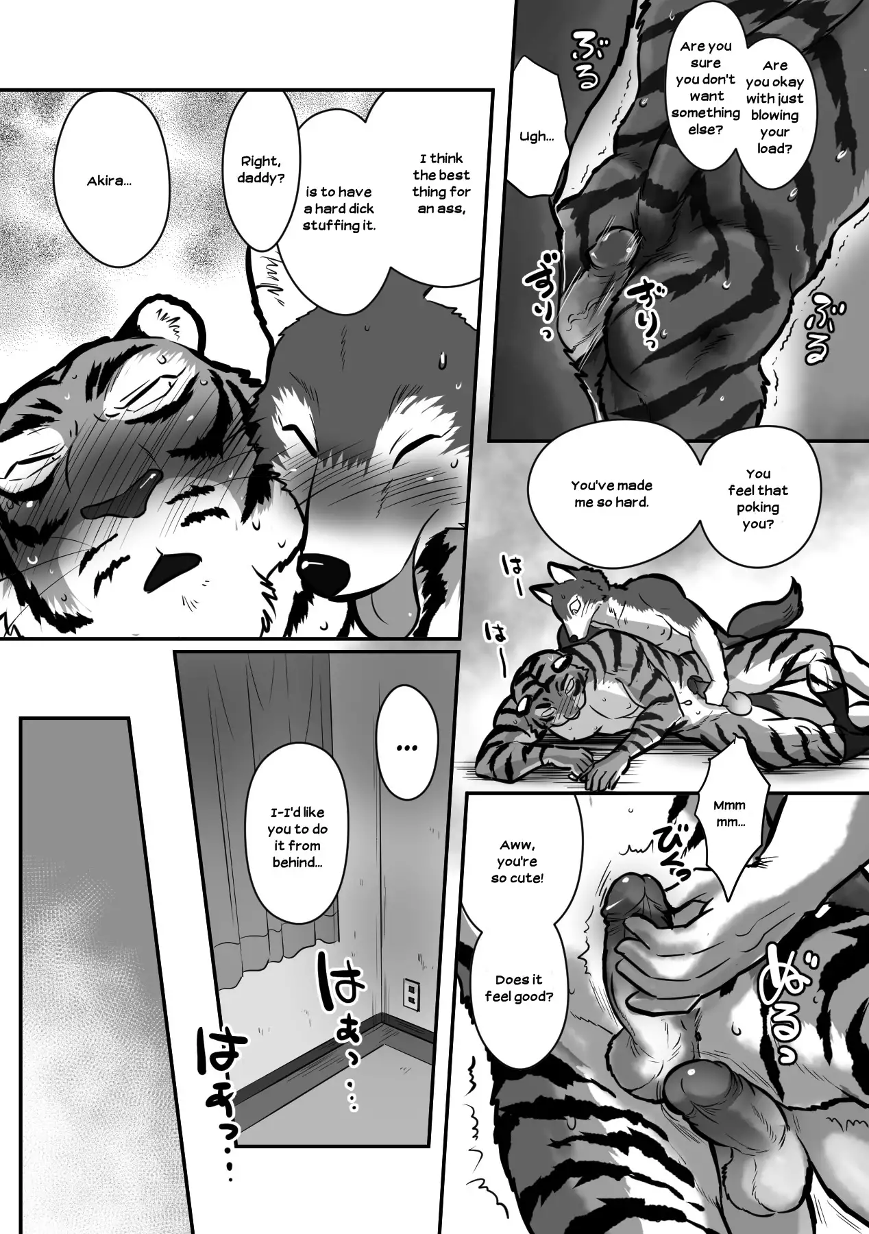 Wolf Teacher and Tiger Daddy 22