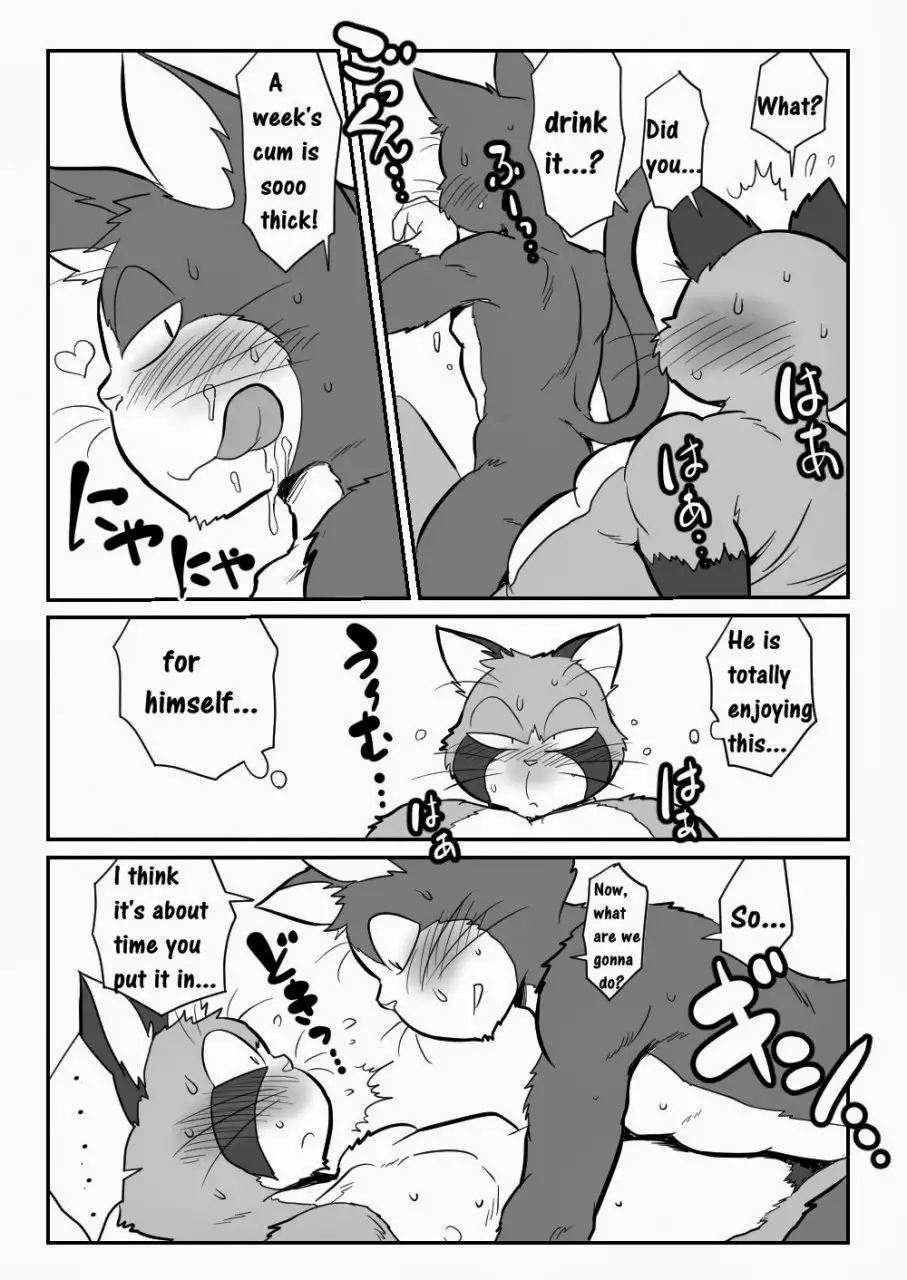 Yomosuke & Tanuki 16