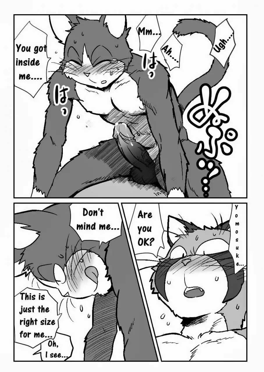 Yomosuke & Tanuki 19